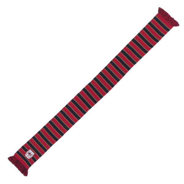 ÉCHARPES LIGNÉES RFCL