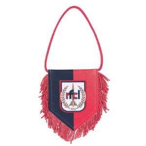 MINI FANION RFC LIÈGE