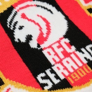 Alternative view of ÉCHARPE RFC SERAING FIERS D’ÊTRE MÉTALLOS