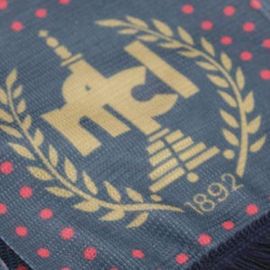 Alternative view of ECHARPE VIP A POIS RFC LIEGE