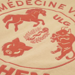 Alternative view of HOODIE ESTUDIANTIN CUREGHEM